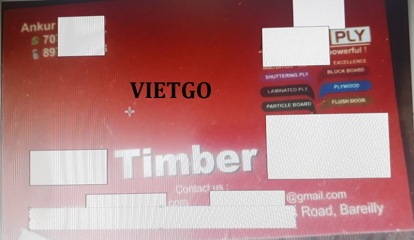 VIETGO-godan-3107